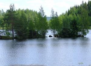 DSCF5295.JPG
