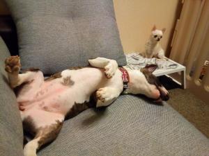 IMG_20180128_013906.jpg