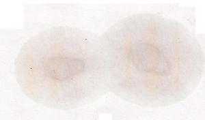post-20758-0-03678000-1460405240_thumb.jpg