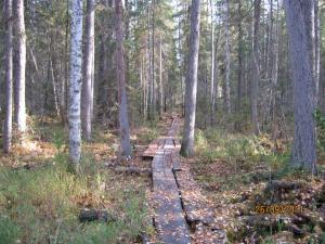 IMG_1322.jpg