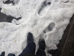 IMG_1436+.JPG