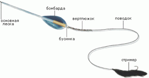 1.gif