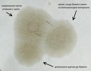 post-5613-0-08744900-1501271726_thumb.jpg