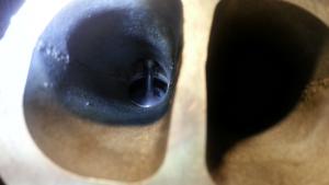 20141011_202117+.jpg