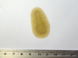 post-3750-0-57146500-1416233153_thumb.jpg