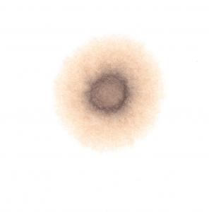 post-43180-0-92866300-1513792982_thumb.jpg