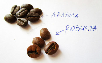 arabica-robusta-1.jpg
