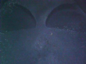 20180704_121633.thumb.jpg.c0852cc6e0eed9949f5e3f1327534a2e.jpg