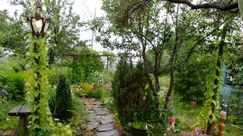 20180729_164325_HDR.jpg
