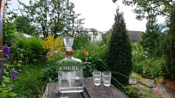20180729_180812_HDR.jpg
