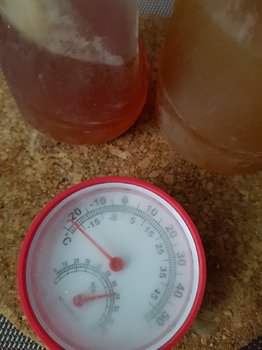 20180905_170146.jpg