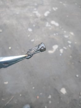 DSC_1155.JPG