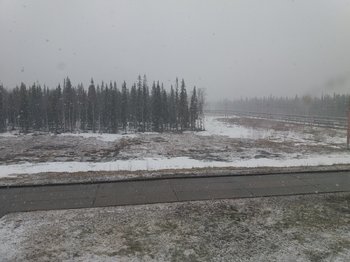 20190531_084350.jpg