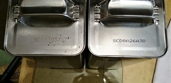 DSC_0704.JPG