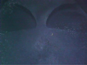 image.thumb.jpeg.5ce8871804a0c7447f0d83075d987588.jpeg