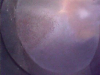 1.thumb.jpg.030506e75905d8f9363026ca78ba2b12.jpg