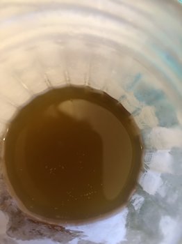 1EC4EEDE-326A-41F4-AC52-FCBCF4F6BB8E.jpeg