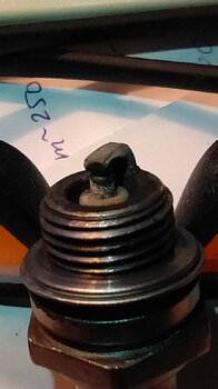IMG_20210221_165938.jpg