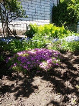 IMG_20210525_113102.jpg