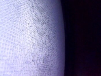 Snapshot000006.thumb.jpg.c595e4125bb630963ccfd15acabeeb7a.jpg