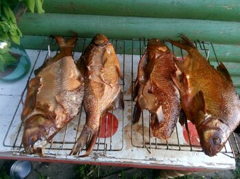 IMG_20210709_192517.jpg