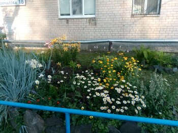 IMG_20210722_190029.jpg