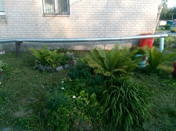 IMG_20210722_190036.jpg