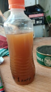 IMG-20220317-WA0008.jpeg