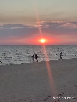 IMG_20220729_195245.jpg