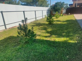 IMG20220902094819.jpg