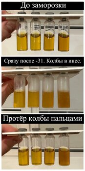 7EF69A4B-BC3F-41FC-A2A6-FCFDAA659428.jpeg