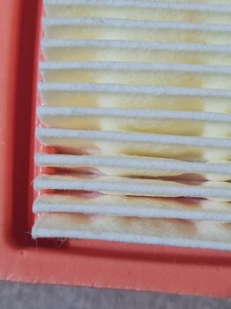 20230130_195932.jpg