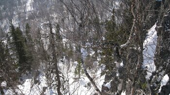 IMG_5821.JPG