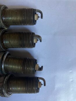 IMG_1496.thumb.jpeg.150698cb071ebac41e700a641b47daa1.jpeg