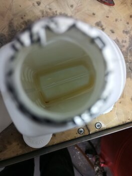 IMG_20230917_110424.jpg