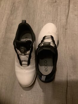 IMG_1823.jpeg