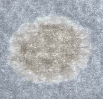IMG_4274.jpeg