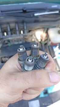 IMG_20240526_111543.jpg