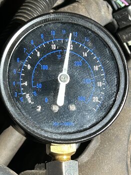 IMG_3225.jpeg