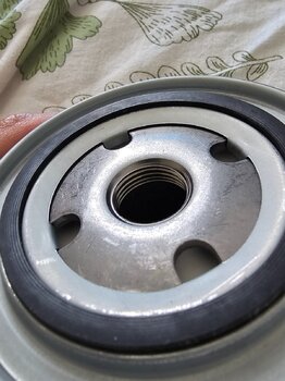 20240727_161408.thumb.jpg.0f63a69fc386dbdc2e092f067b4f8130.jpg