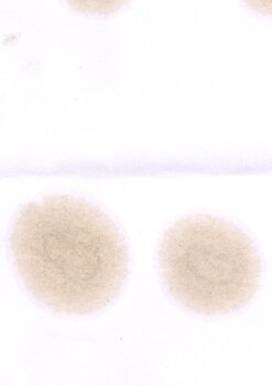 979774679_s-oil5373-11330645.thumb.jpg.df42cd97a383fc2545df8cc00bd4cbdc.jpg