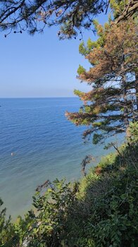 IMG_20240718_073632_685.jpg