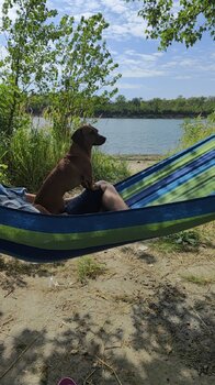 IMG_20240727_093549_048.jpg