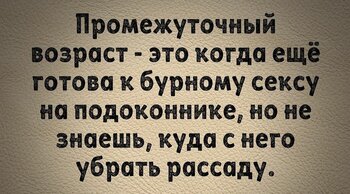 65.jpg
