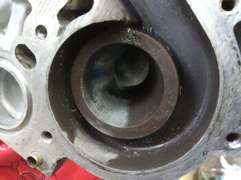 IMG_20240808_201141.jpg