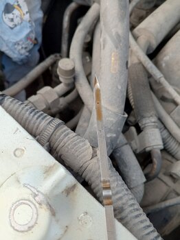 IMG_20240617_210942_497.jpg