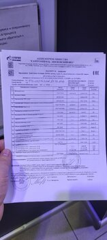 IMG_20240928_175028.jpg