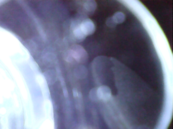 20241109_16_14_54.thumb.png.15206b394cad3d2dc8bd78ad5cc4273d.png