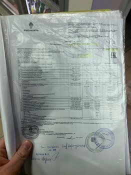 IMG_2908.jpeg