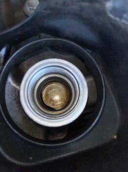 IMG_9448.jpeg